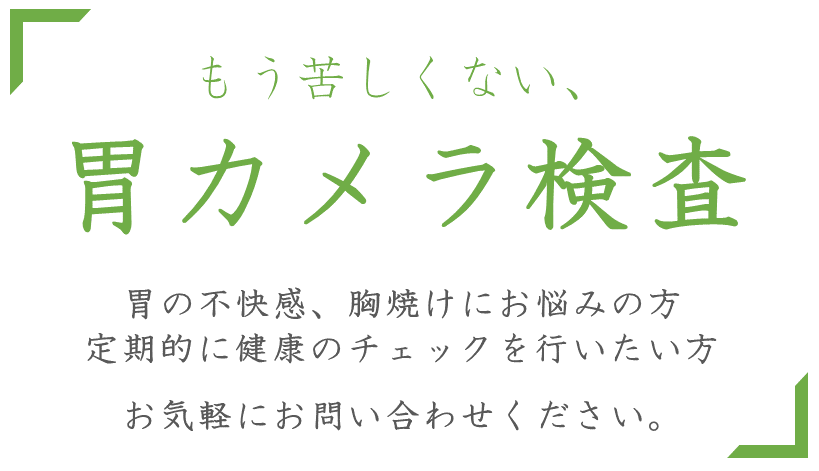 胃カメラのご案内